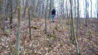 Polski Grzybiarz Cz. 1