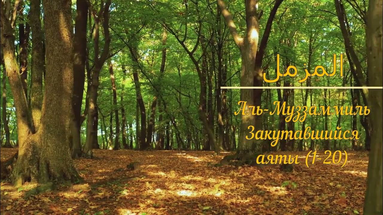 КОРАН (сура 73), Аль-Муззаммиль "Закутавшийся" (аят 1-20) тафсир ...