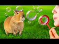 My Capybara Reacts To Blowing Bubbles!