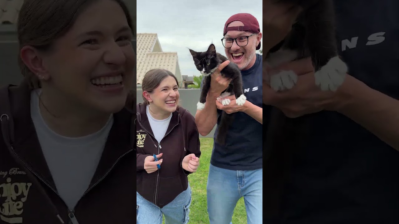 Cómo cortar las uñas del gatito 🐱✂️