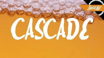 The Magic of Sour Beer