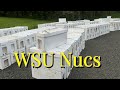 Final nuc pickup this weekend wsu queen initial review