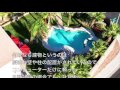 木造住宅の耐震補強計画とは③リフォームで絶対にしてはダメなこと「一級建築士　大塚義久」【簡単リフォーム】 Vol 139 リフォームスマイルユウ