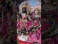 #radherani #radheradhe #radhekrishna #shyamkripa #jaishyamdhani #trending #viralshot #subscribe