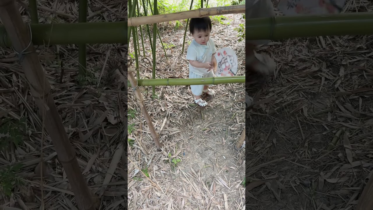 Baby, mom, please follow me. The cats have all left. Mom, how can I get through?