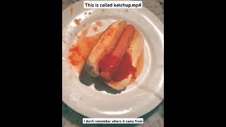 #squirt #wet #saucy #meat #memes #ketchup #hotdogs #dawg