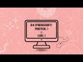 ALX Cybersecurity Practical 1 (Level 1)