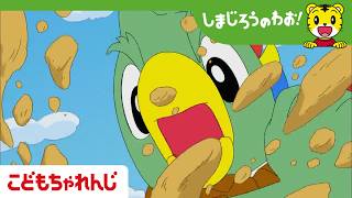 【16分アニメ】ほれほれ！ とうちゃん│芋ほり│とりっぴい│しまじろうのわお！アニメ│しまじろうチャンネル公式