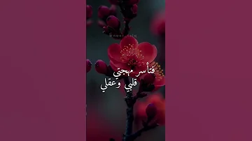 لأنك ساكن في كل كلي حالات واتس لايك اشتراك لايك اشتراك 