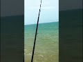 كاب بارباص صيد سمك بحر Fishing الصيد بالقصبة Fish كاب بارباص صيد سمك بحر Fishing الصيد بالقصبة Fish