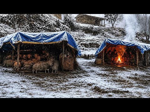 Surviving Shepherd Life in One Of The Coldest Regions Of Nepal |A Snowy Freezing  Village intr All$.