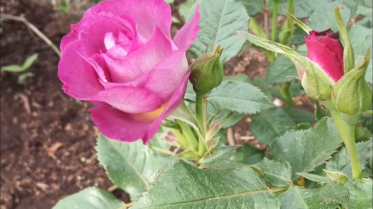 Блю фо ю 1 июня. Начало. - YouTube