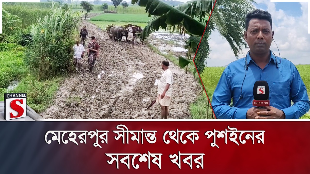 মেহেরপুর সীমান্ত থেকে পুশইনের সবশেষ খবর | BSF Push-In | BGB | Channel S News