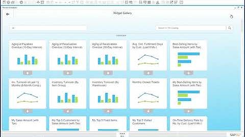 SAP Business One HANA Series Advanced Dashboards