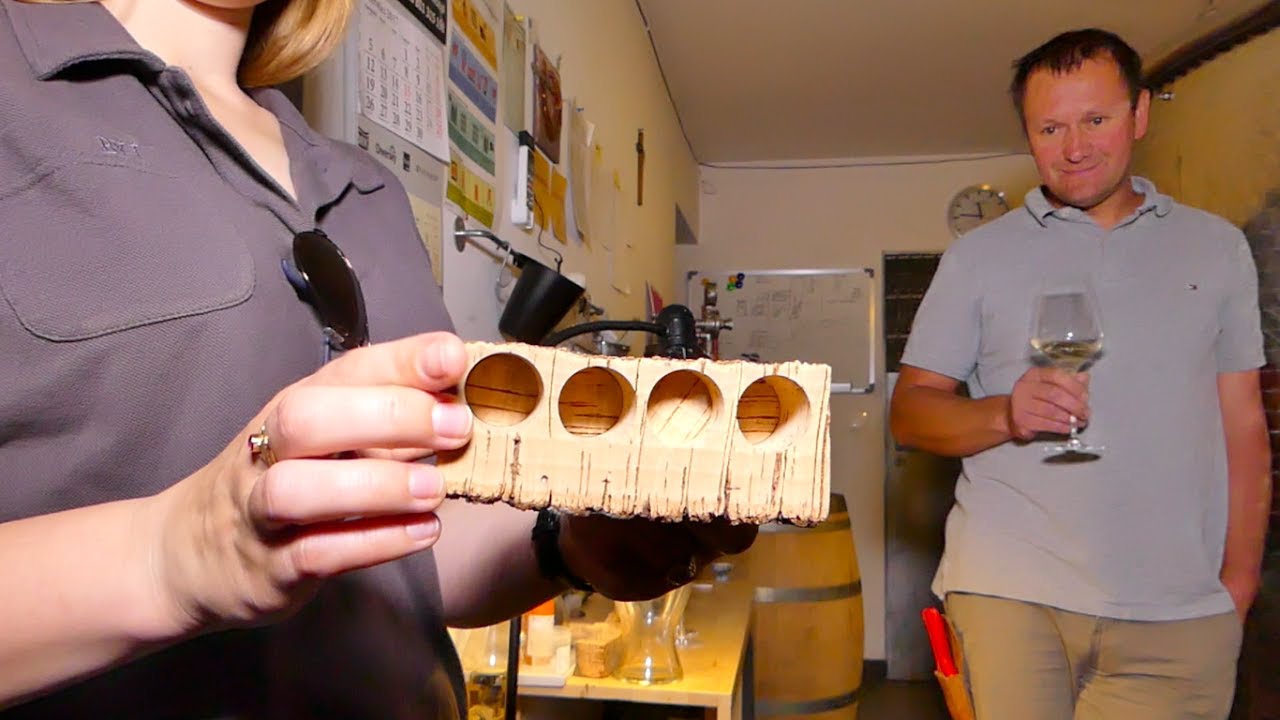 WWT - PROFESJONALNA Winnica Pod Wrocławiem. NA WINNYM SZLAKU #11