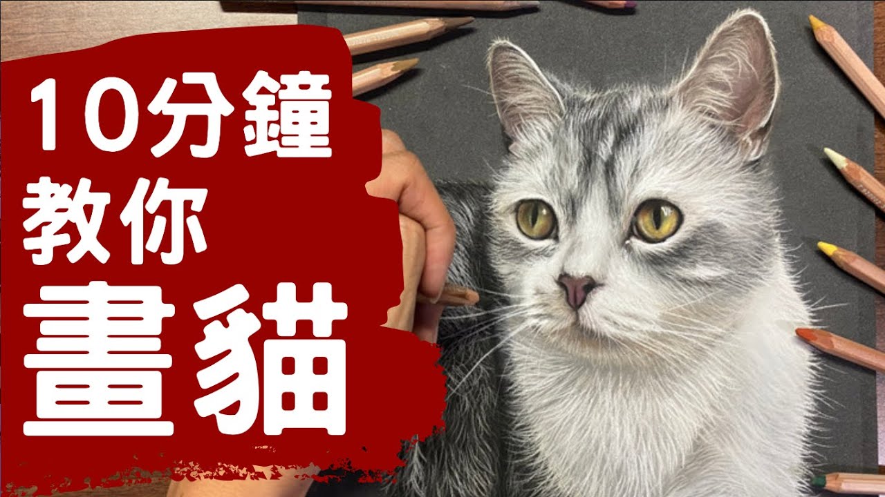 【寫實畫教學】十分鐘教你用乾粉彩畫貓 | Steven Tang