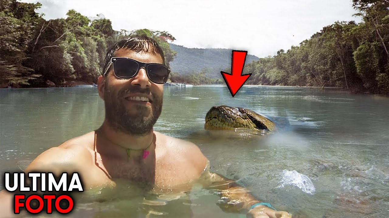 I 5 Attacchi Di Serpente Più ORRIBILI Mai Registrati!