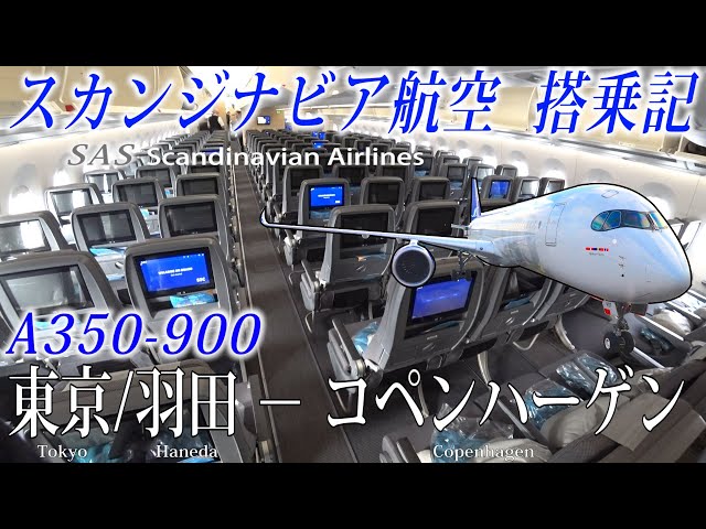 スカンジナビア航空🇳🇴🇩🇰🇸🇪 A350-900 エコノミークラス搭乗記