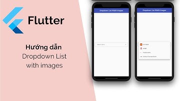 Flutter: Hướng Dẫn làm Dropdown List with Images