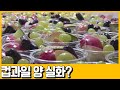 [선공개] (이거레알) 처음엔 폭망, 지금은 급상! 가게 수입을 10배 올린 아내의 정체는??? | 채널A 서민갑부 253회