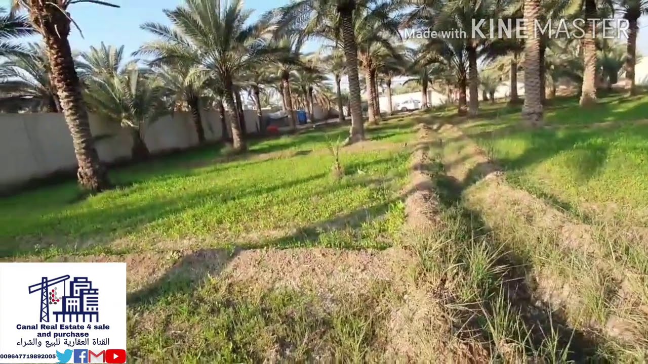 #بستان 1,25دونم للبيع ((#سند_منفصل)) في #كربلاء_المقدسة_طريق_بغداد_كربلاء_قرب_مدينة_الزائرين