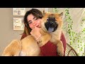 DUE MESI CON IL NOSTRO CANE - CHEDDAR
