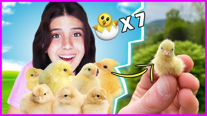 Alison Doodyning kokraklari Semiz ayolni sikish uchun qanday pozitsiyadan foydalanishim kerak?