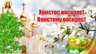 Христос Воскрес! Воистину Воскрес!  Поздравления Со Светлой Пасхой☦  Видео Открытка С Пасхой