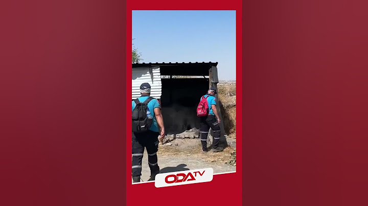 Diyarbakır'da kaybolan 8 yaşındaki Narin'i arama çalışmaları sürüyor #shorts