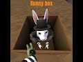 bunny box