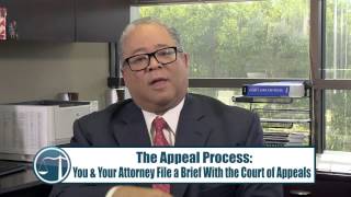 Appeal a Juvenile Dependency Case if Social Services Removed Your Kids -- CA Lawyer Vincent W. Davis Who Can File A Dependency Petition