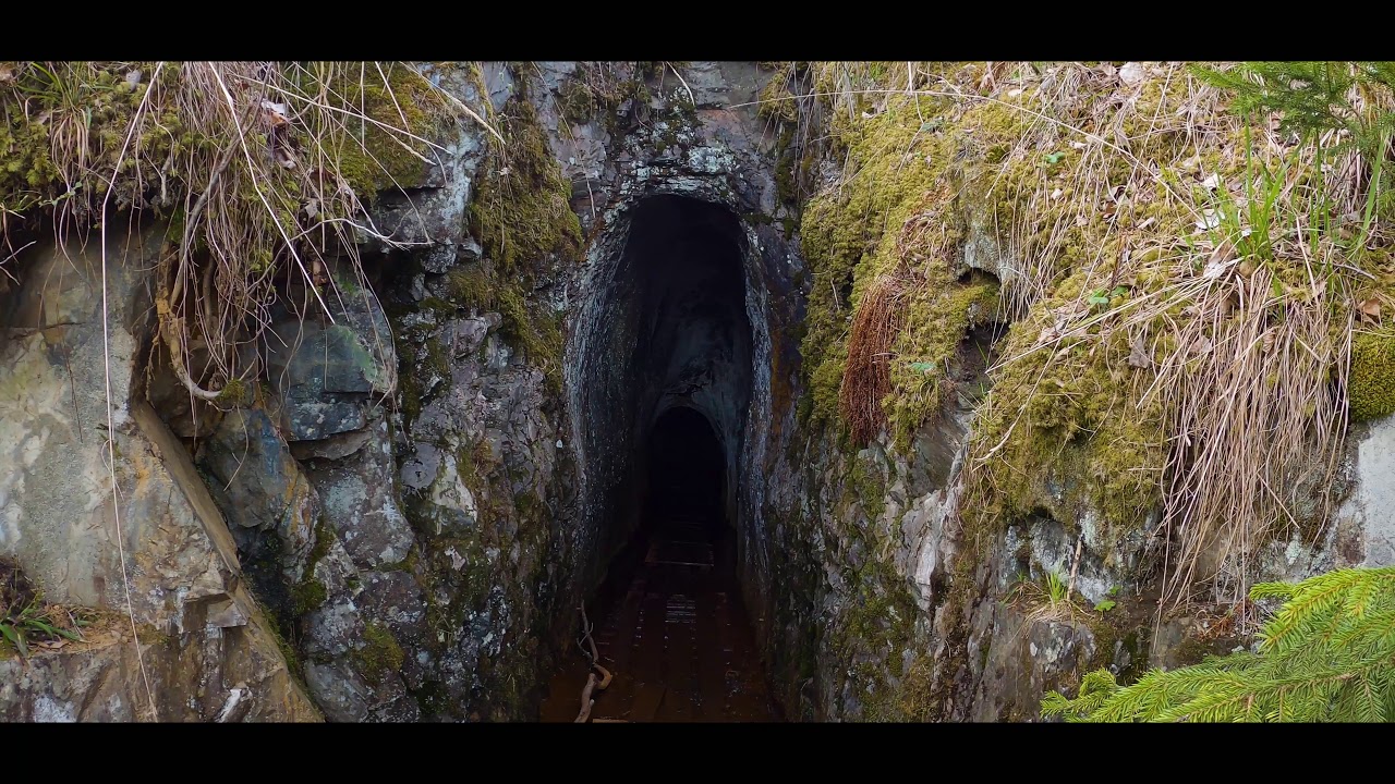 Swedish Nature Högbergsfältet