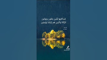 تلاوة عذبة للشيخ هاني الرفاعي #quran