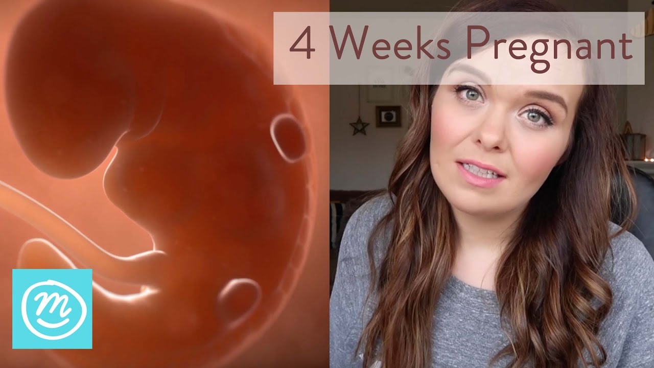 4 Weeks Pregnant What You Need To Know Channel Mum YouTube