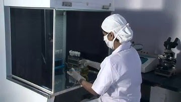 VEDAYA – PURE AYURVEDA | QUALITY CONTROL