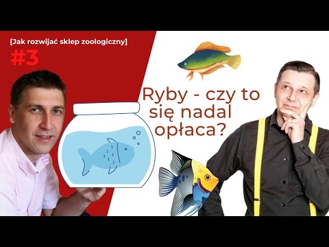 Wideo: Psy terapeutyczne przynoszą miłość do żałoby ludzi w domach pogrzebowych