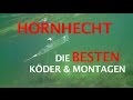 Hornhecht: Die besten Köder, Spots & Montagen zum Hornhechtangeln