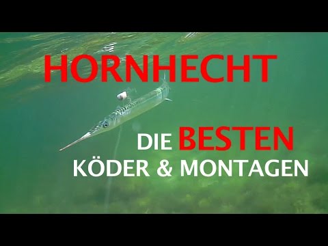 Sind die Hornhechte da? Hornhechtblinker testen!