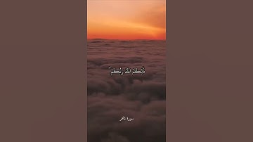 اللَّهُ الَّذِي جَعَلَ لَكُمُ الْأَرْضَ قَرَارًا وَالسَّمَاءَ بِنَاءً   سورة غافر   علي جابر