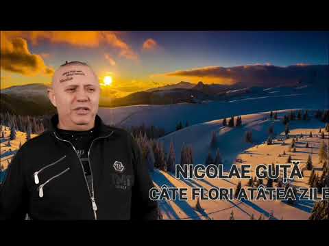 NICOLAE GUTA - CATE FLORI ATATEA ZILE