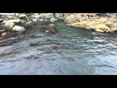 YouTube player