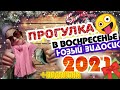 НОВЫЙ ВЫПУСК..ПОЗИТИВНОЕ ВИДЕО.