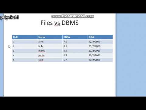 DB3: File vs DBMS
