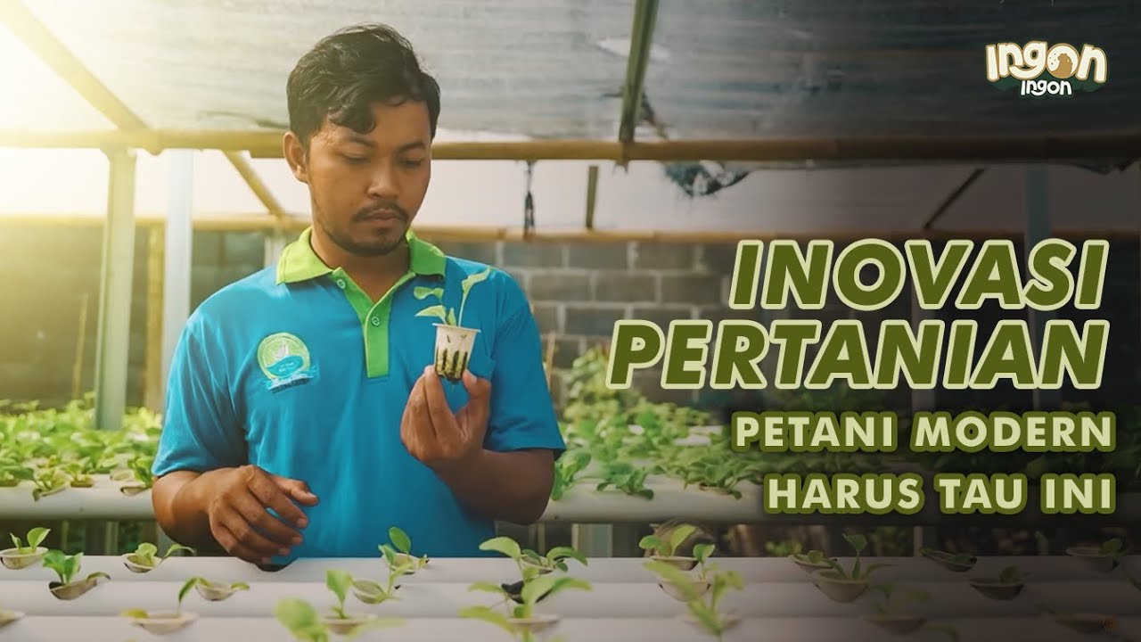 Inovasi Pertanian! Punya 200 Jenis Tanaman dan Kelola 32 Agen, Petani Sukses!