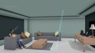 What Is An Echo 3D-Animation