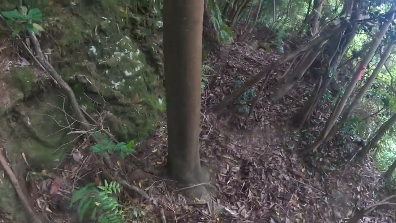 里山歩き 螺山 標高 150m 2024-05-19 go-4 camera gopromax