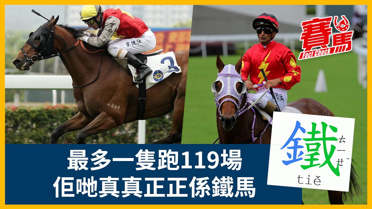 競馬回顧歷來HKJC鐵馬！胡森泥地後勁王神殿跑足119場 長跑長有退役戰拍柏寶後上包尾變第一完美告別！歡樂小子拍黎海榮贏田草1400米夠堅毅 ...