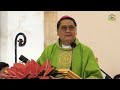 Twenty-Seventh Sunday in Ordinary Time - #MyloEverySunday (October 2, 2022)