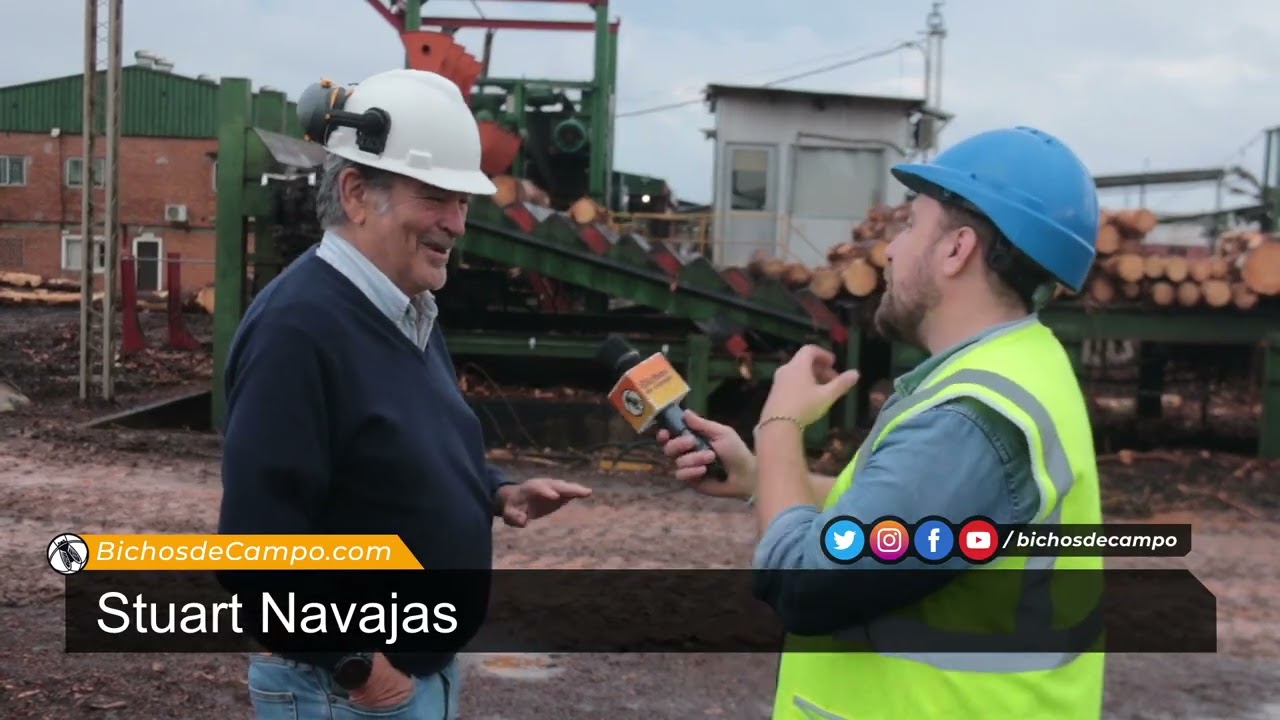 Stuart Navajas, Presidente del aserradero de Forestal Las Marías