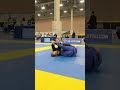 open class berimbolo @ibjjf jiujitsu con #bjj #jiujitsu #ibjjf #grappling #nogi #mma #wrestling